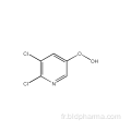 Acide 5,6-dichloronicotinique CAS 41667-95-2